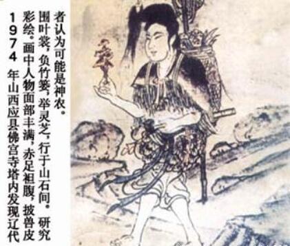 破壁灵芝孢子粉提高免疫力吗？灵芝孢子粉能提高免疫力-第4张图片-破壁灵芝孢子粉研究指南