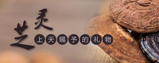 灵芝破壁孢子粉品牌哪家强?-第1张图片-破壁灵芝孢子粉研究指南