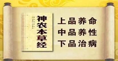 灵芝孢子粉长期吃危险是真的吗？破壁灵芝孢子粉的副作用？怎么避免？-第2张图片-破壁灵芝孢子粉研究指南