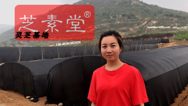 芝素堂灵芝孢子粉怎么样-第4张图片-破壁灵芝孢子粉研究指南 芝素堂灵芝孢子粉怎么样-第4张图片-破壁灵芝孢子粉研究指南