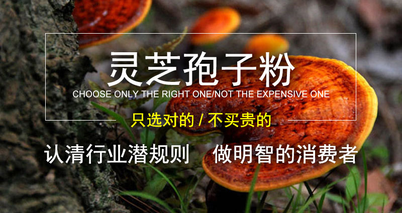 怎么选灵芝孢子粉?99%的人不知道-第3张图片-破壁灵芝孢子粉研究指南 怎么选灵芝孢子粉?99%的人不知道-第3张图片-破壁灵芝孢子粉研究指南