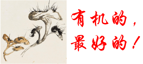 怎么选灵芝孢子粉?99%的人不知道-第4张图片-破壁灵芝孢子粉研究指南 怎么选灵芝孢子粉?99%的人不知道-第4张图片-破壁灵芝孢子粉研究指南