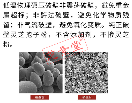 详解破壁灵芝孢子粉的功效与作用,破壁灵芝孢子粉的六大用途-第2张图片-破壁灵芝孢子粉研究指南