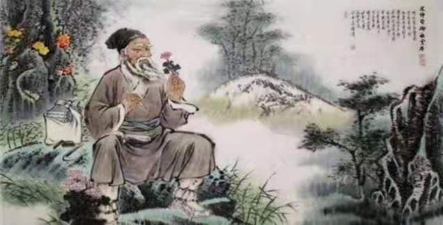 灵芝孢子粉作用与功效 除了抗肿瘤还有这些妙用-第1张图片-破壁灵芝孢子粉研究指南 灵芝孢子粉作用与功效 除了抗肿瘤还有这些妙用-第1张图片-破壁灵芝孢子粉研究指南