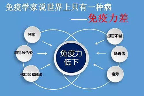 灵芝孢子粉过敏体质可以吃吗？吃灵芝孢子粉过敏症状会缓解吗？-第1张图片-破壁灵芝孢子粉研究指南