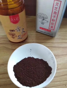 正宗灵芝孢子粉作用好不好？-第1张图片-破壁灵芝孢子粉研究指南