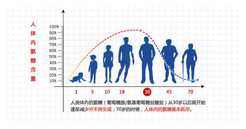 维骨力哪个牌子好呢?-第1张图片-破壁灵芝孢子粉研究指南 维骨力哪个牌子好呢?-第1张图片-破壁灵芝孢子粉研究指南