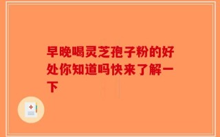 早晚喝灵芝孢子粉的好处你知道吗快来了解一下