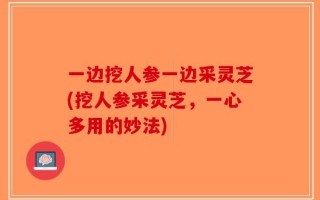 一边挖人参一边采灵芝(挖人参采灵芝，一心多用的妙法)
