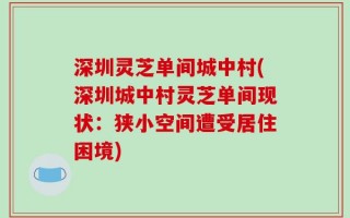 深圳灵芝单间城中村(深圳城中村灵芝单间现状：狭小空间遭受居住困境)