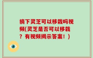 摘下灵芝可以移栽吗视频(灵芝是否可以移栽？有视频揭示答案！)