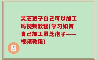 灵芝孢子自己可以加工吗视频教程(学习如何自己加工灵芝孢子——视频教程)
