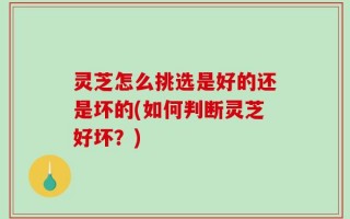 灵芝怎么挑选是好的还是坏的(如何判断灵芝好坏？)