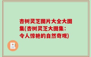 杏树灵芝图片大全大图集(杏树灵芝大图集：令人惊艳的自然奇观)