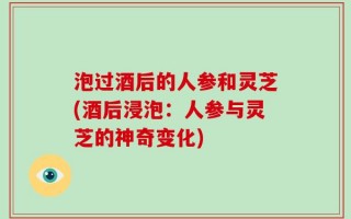 泡过酒后的人参和灵芝(酒后浸泡：人参与灵芝的神奇变化)