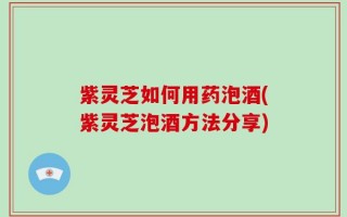 紫灵芝如何用药泡酒(紫灵芝泡酒方法分享)
