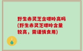 野生赤灵芝含嘌呤高吗(野生赤灵芝嘌呤含量较高，需谨慎食用)