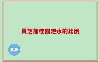 灵芝加桂圆泡水的比倒