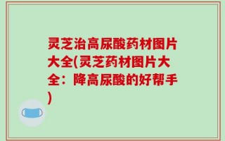 灵芝治高尿酸药材图片大全(灵芝药材图片大全：降高尿酸的好帮手)
