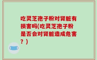 吃灵芝孢子粉对肾脏有损害吗(吃灵芝孢子粉是否会对肾脏造成危害？)