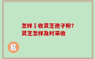 怎样採收灵芝孢子粉？灵芝怎样及时采收
