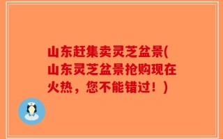 山东赶集卖灵芝盆景(山东灵芝盆景抢购现在火热，您不能错过！)