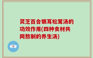 灵芝百合银耳松茸汤的功效作用(四种食材共同熬制的养生汤)