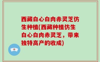 西藏白心白肉赤灵芝仿生种植(西藏种植仿生白心白肉赤灵芝，带来独特高产的收成)
