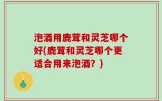 泡酒用鹿茸和灵芝哪个好(鹿茸和灵芝哪个更适合用来泡酒？)