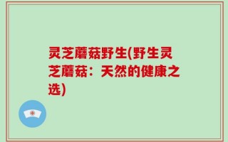 灵芝蘑菇野生(野生灵芝蘑菇：天然的健康之选)
