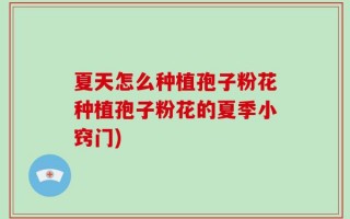 夏天怎么种植孢子粉花种植孢子粉花的夏季小窍门)