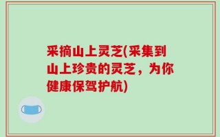 采摘山上灵芝(采集到山上珍贵的灵芝，为你健康保驾护航)