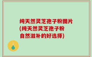 纯天然灵芝孢子粉图片(纯天然灵芝孢子粉 自然滋补的好选择)