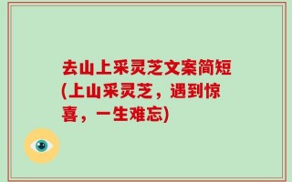 去山上采灵芝文案简短(上山采灵芝，遇到惊喜，一生难忘)