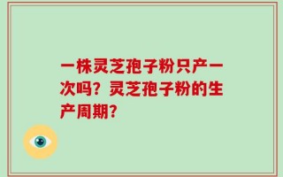 一株灵芝孢子粉只产一次吗？灵芝孢子粉的生产周期？