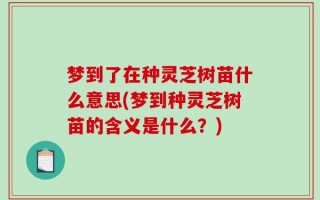 梦到了在种灵芝树苗什么意思(梦到种灵芝树苗的含义是什么？)