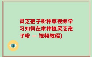 灵芝孢子粉种草视频学习如何在家种植灵芝孢子粉 — 视频教程)