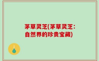茅草灵芝(茅草灵芝：自然界的珍贵宝藏)