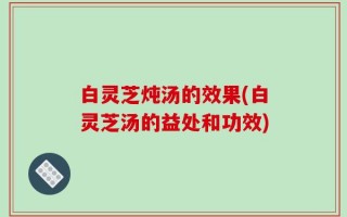 白灵芝炖汤的效果(白灵芝汤的益处和功效)
