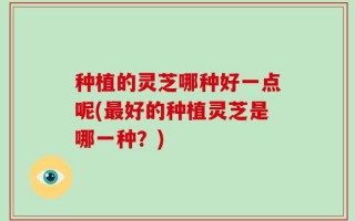 种植的灵芝哪种好一点呢(最好的种植灵芝是哪一种？)