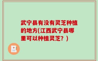 武宁县有没有灵芝种植的地方(江西武宁县哪里可以种植灵芝？)