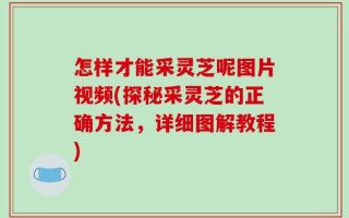 怎样才能采灵芝呢图片视频(探秘采灵芝的正确方法，详细图解教程)