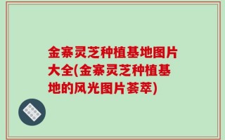 金寨灵芝种植基地图片大全(金寨灵芝种植基地的风光图片荟萃)