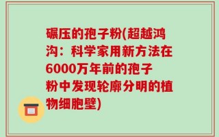 碾压的孢子粉(超越鸿沟：科学家用新方法在6000万年前的孢子粉中发现轮廓分明的植物细胞壁)