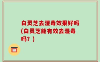 白灵芝去湿毒效果好吗(白灵芝能有效去湿毒吗？)