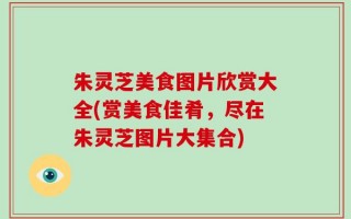 朱灵芝美食图片欣赏大全(赏美食佳肴，尽在朱灵芝图片大集合)