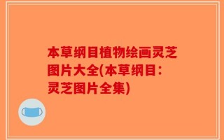 本草纲目植物绘画灵芝图片大全(本草纲目：灵芝图片全集)