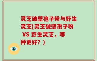 灵芝破壁孢子粉与野生灵芝(灵芝破壁孢子粉 VS 野生灵芝，哪种更好？)