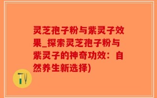 灵芝孢子粉与紫灵子效果_探索灵芝孢子粉与紫灵子的神奇功效：自然养生新选择)