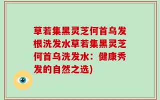 草若集黑灵芝何首乌发根洗发水草若集黑灵芝何首乌洗发水：健康秀发的自然之选)